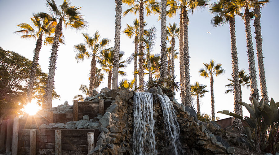 Manmade waterfall landscape element with palm trees in background