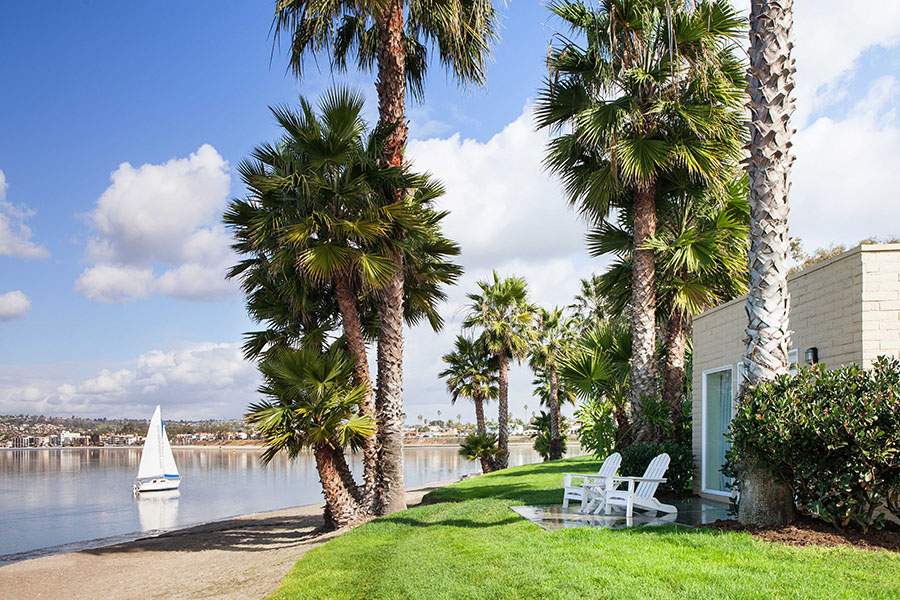 Bayside lawn with palm trees