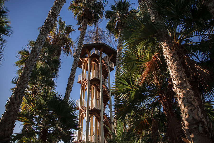 Observation tower amid palm trees