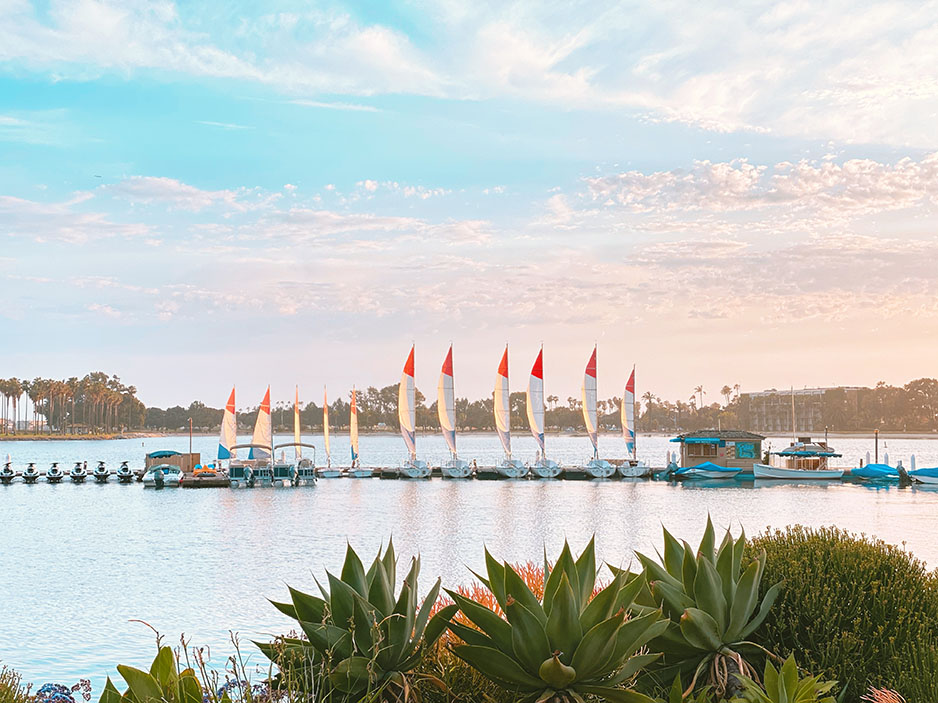 Sailboats lined up at dock at a marina at dawn