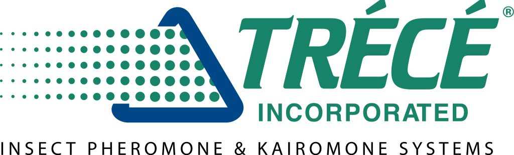 Trece home