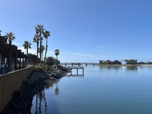 Landscape of water with pier stretching over water. Palm trees and blue sky.
